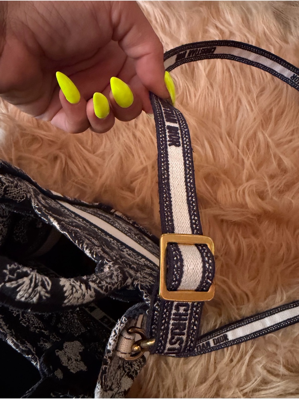 Christian Dior mini tote/crossbody - Picture 4 of 6